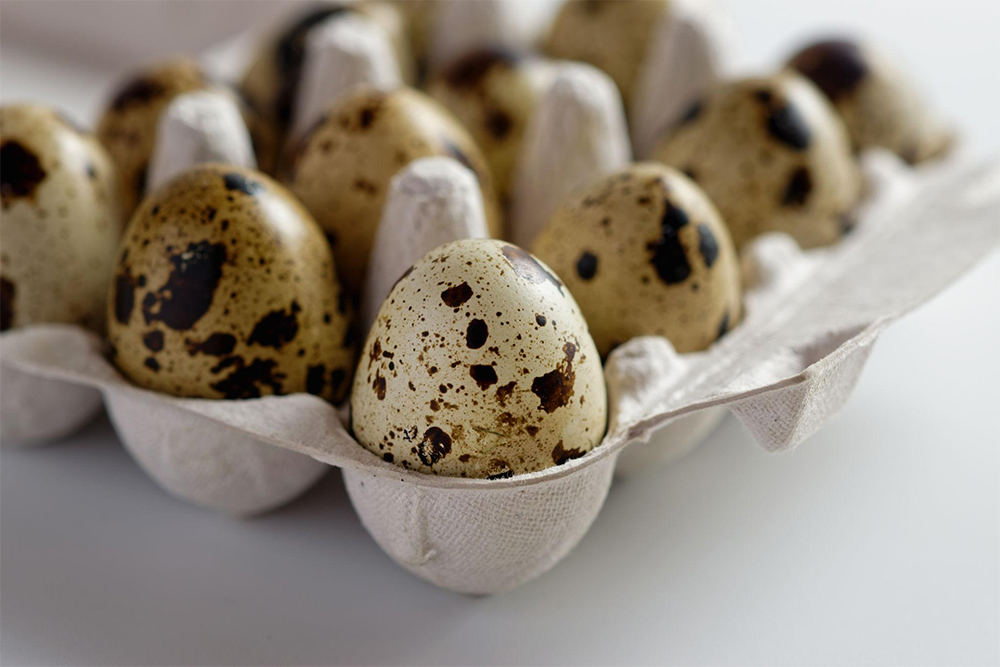Fresh speckled quail eggs from Borna National Farms