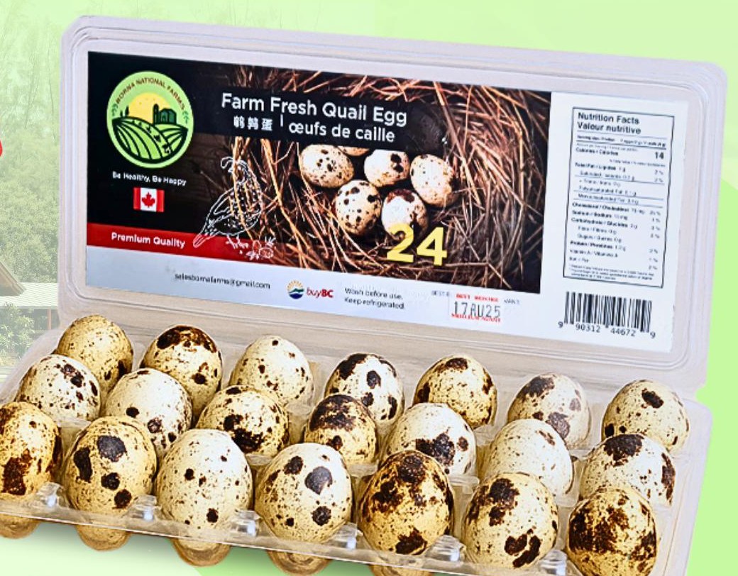 Borna National Farms Farm Fresh Quail Eggs, 24-egg tray